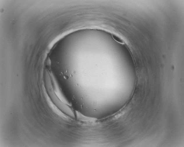 X0000066091526200603241444