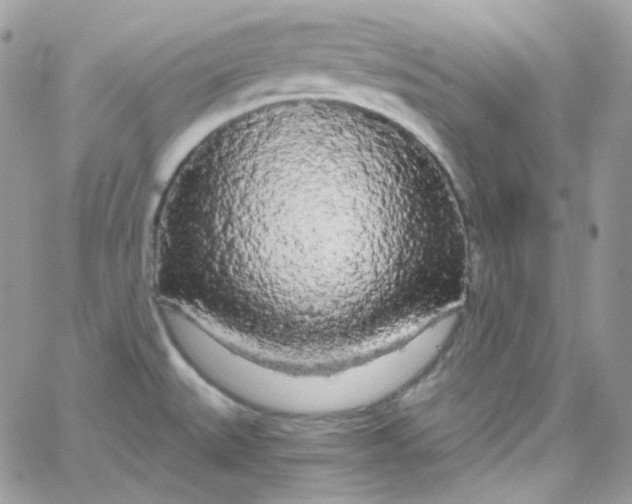 X0000066091527200603241444