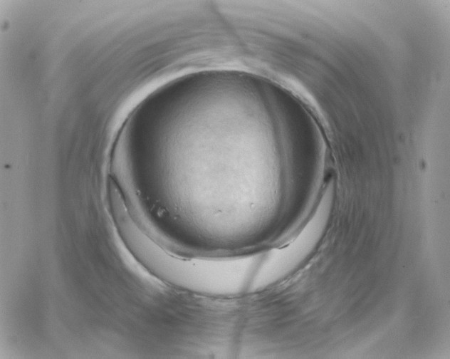 X0000066091528200603241444