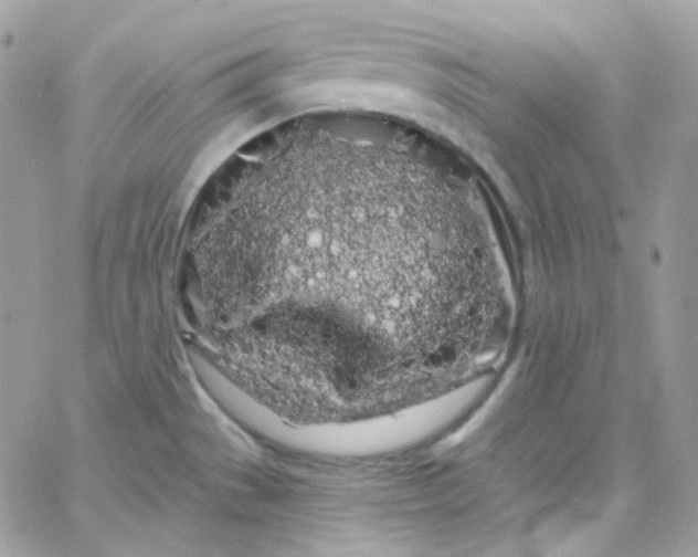 X0000066091529200603241444