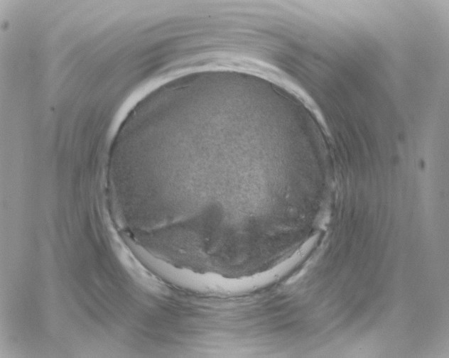 X0000066091530200603241444