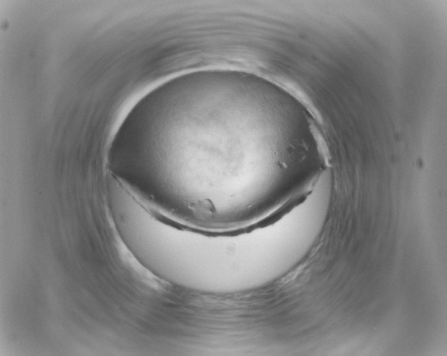 X0000066091532200603241444