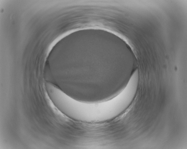 X0000066091534200603241444