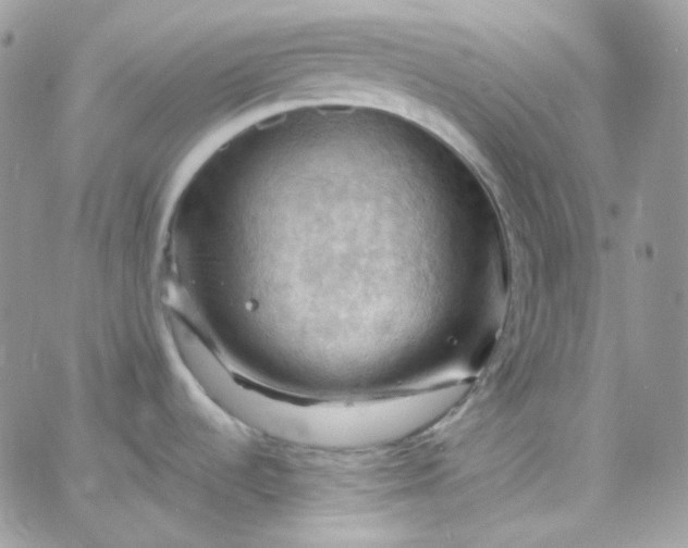 X0000066091536200603241444