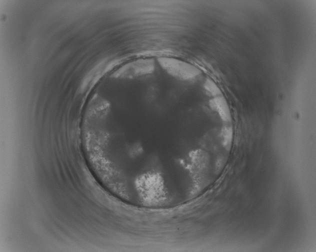 X0000066090002200603312012