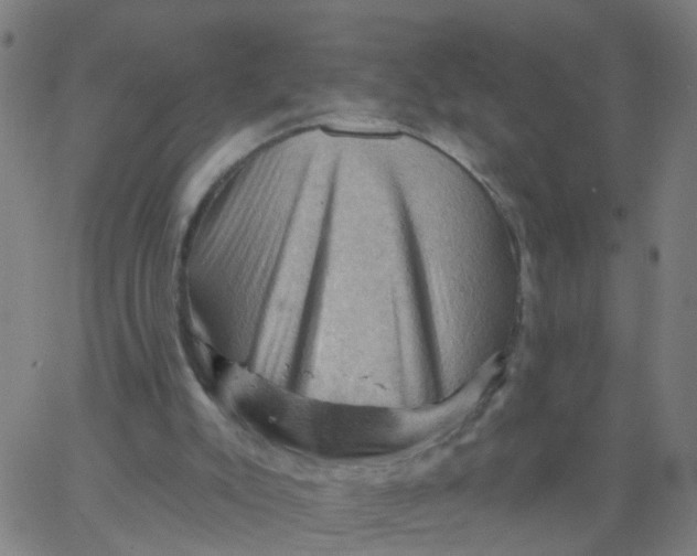 X0000066090007200603312011