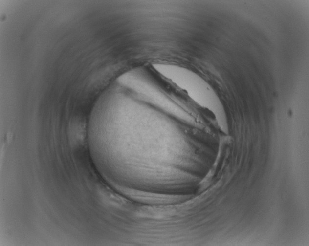 X0000066090033200603312011