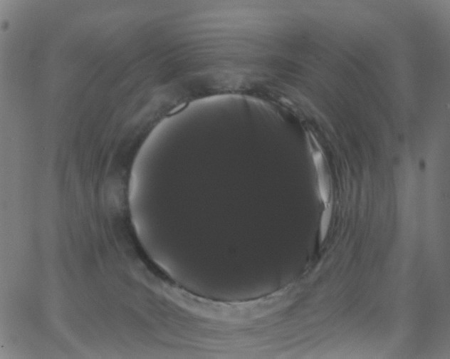 X0000066090035200603312011
