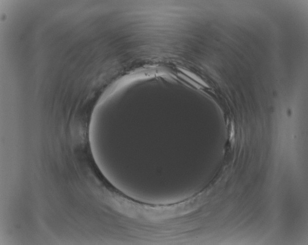 X0000066090039200603312011