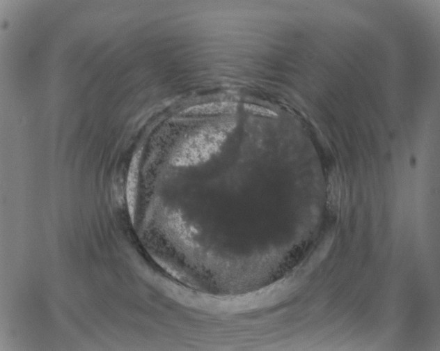 X0000066090043200603312011