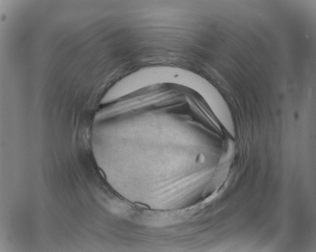 X0000066090045200603312011