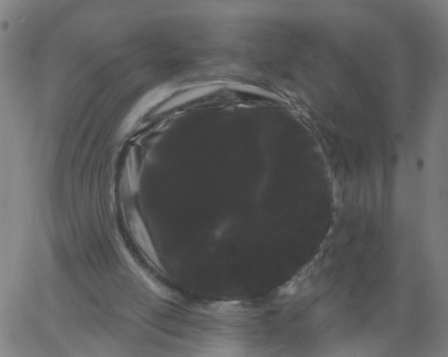 X0000066090054200603312010