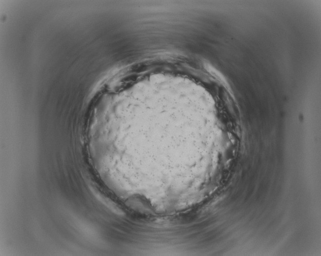X0000066090059200603312010