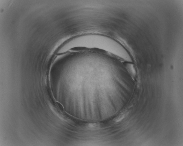 X0000066090060200603312010