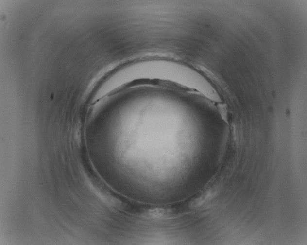 X0000066090064200603312010