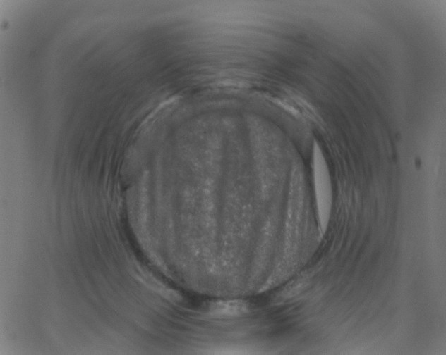 X0000066090077200603312010