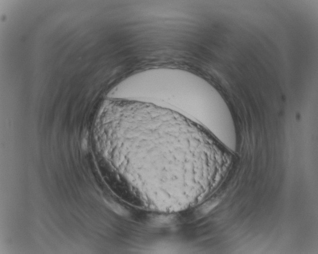 X0000066090081200603312011