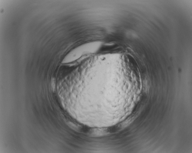 X0000066090093200603312011