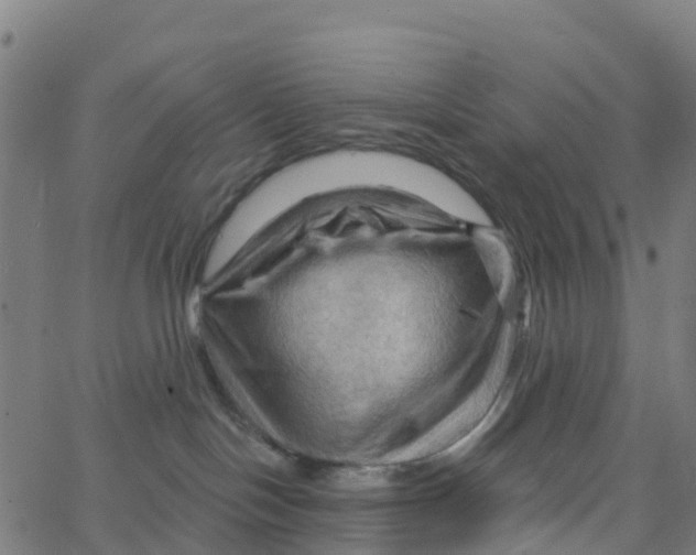 X0000066090094200603312011