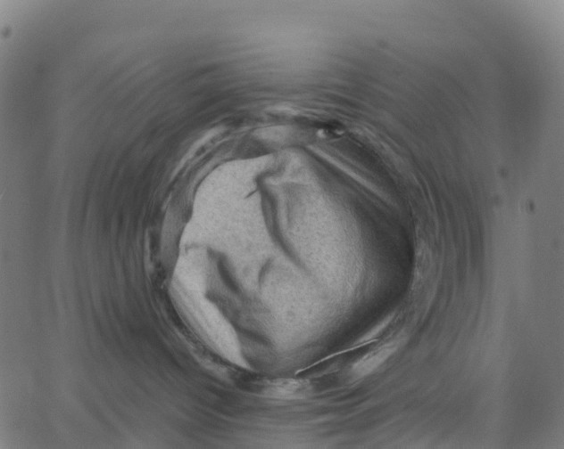 X0000066090096200603312011