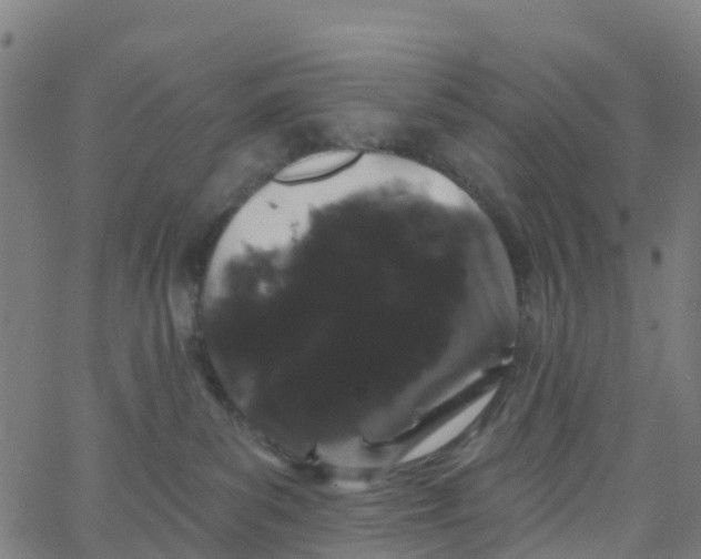 X0000066090139200603312009