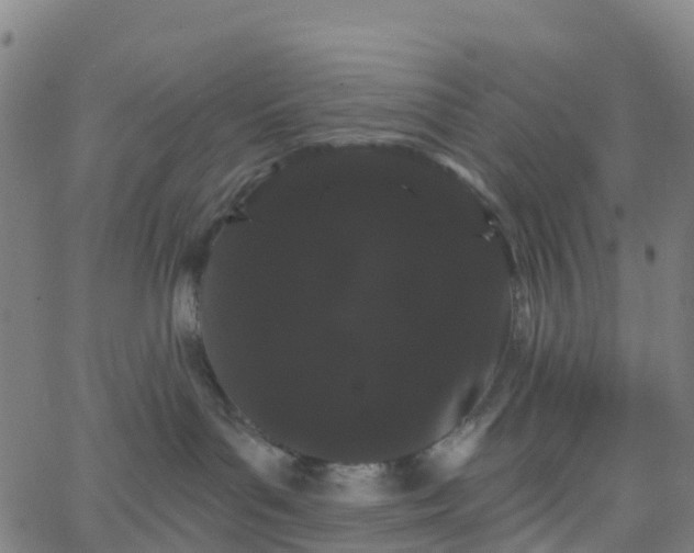 X0000066090143200603312009