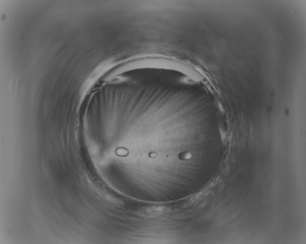 X0000066090152200603312009