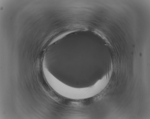 X0000066090167200603312009
