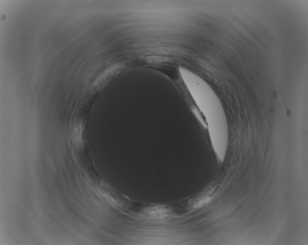 X0000066090219200603312008
