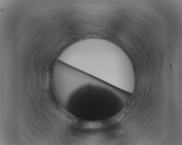 X0000066090223200603312008