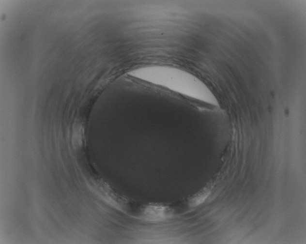 X0000066090227200603312008