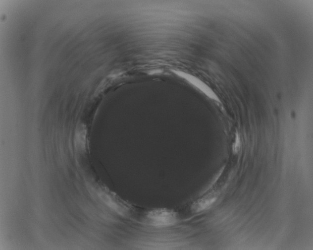 X0000066090231200603312008