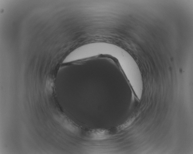X0000066090235200603312008