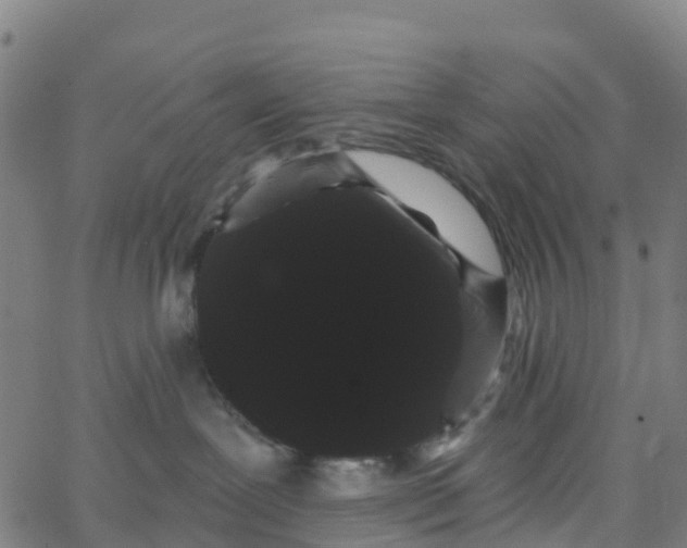 X0000066090239200603312008