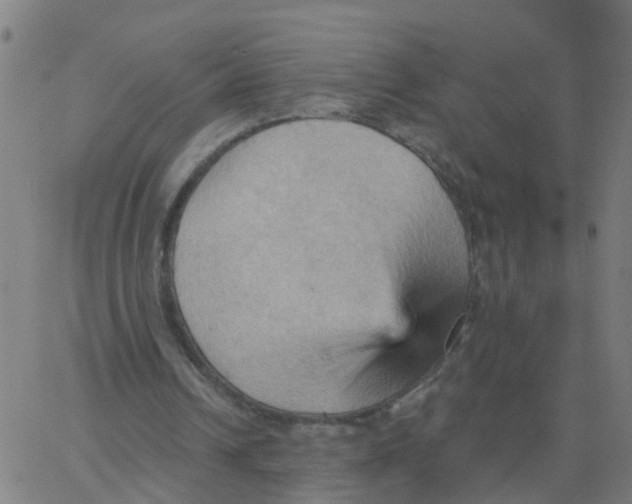 X0000066090242200603312007