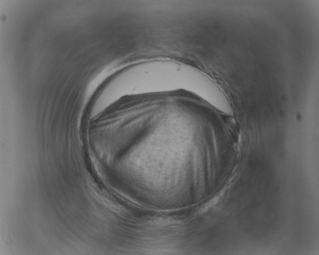 X0000066090246200603312007
