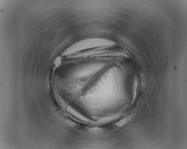 X0000066090258200603312007