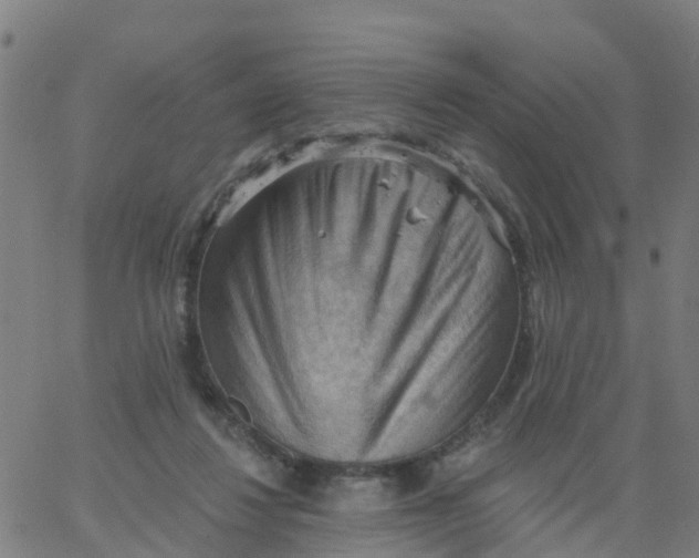 X0000066090260200603312007