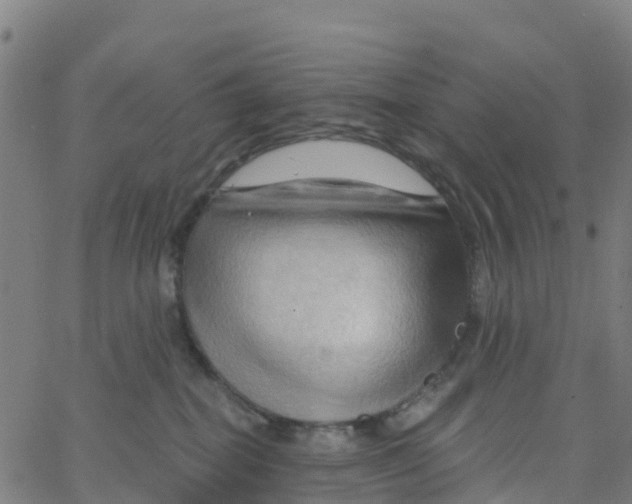 X0000066090282200603312008