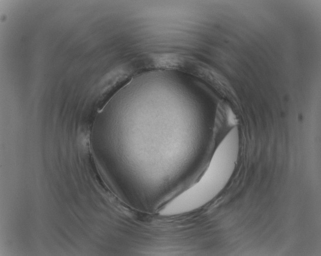 X0000066090329200603312006