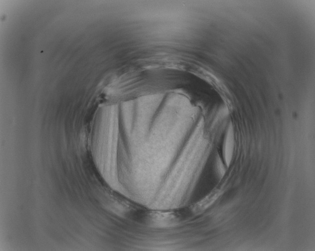 X0000066090333200603312006