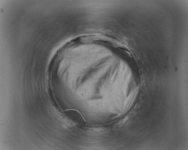X0000066090342200603312005