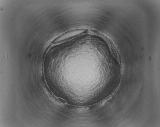 X0000066090345200603312005