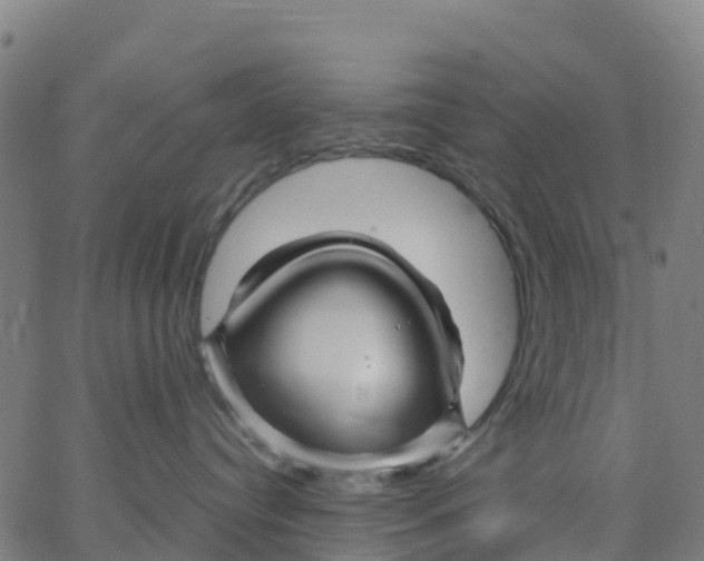 X0000066090384200603312006