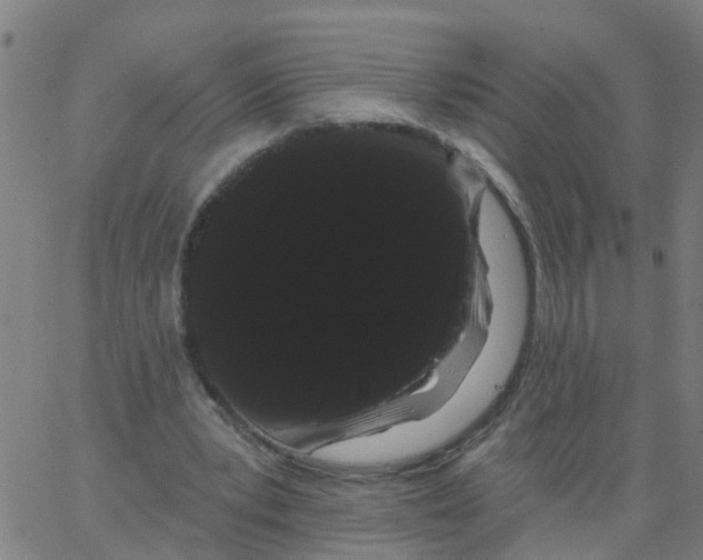 X0000066090391200603312005
