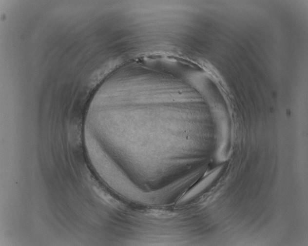 X0000066090393200603312005