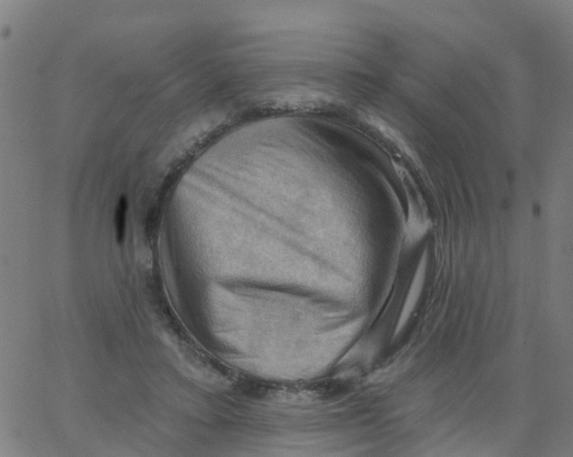 X0000066090403200603312005