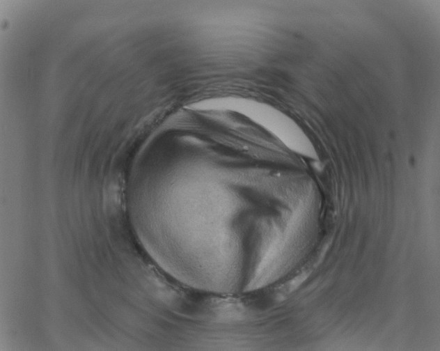 X0000066090424200603312005