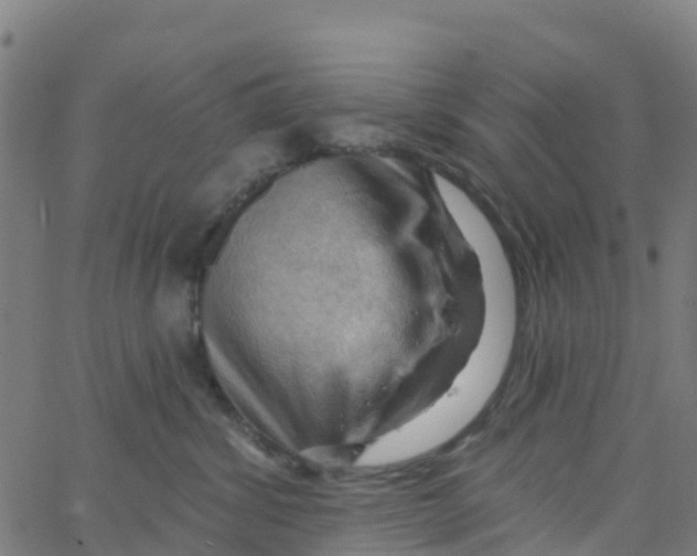 X0000066090428200603312005