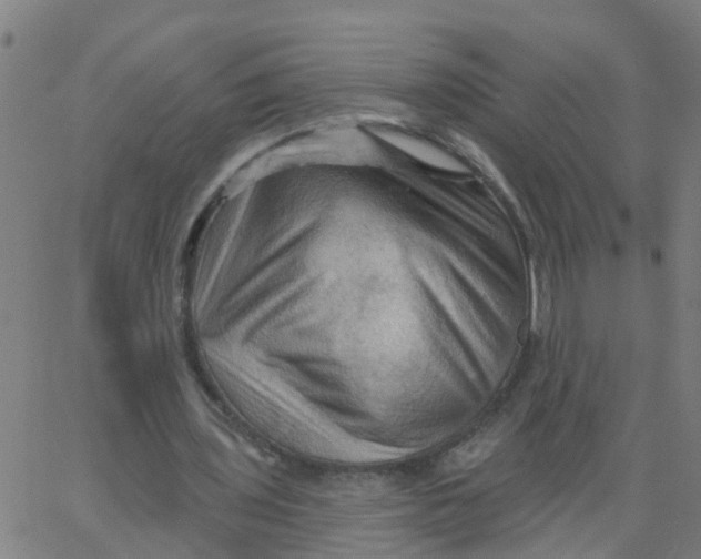 X0000066090435200603312004
